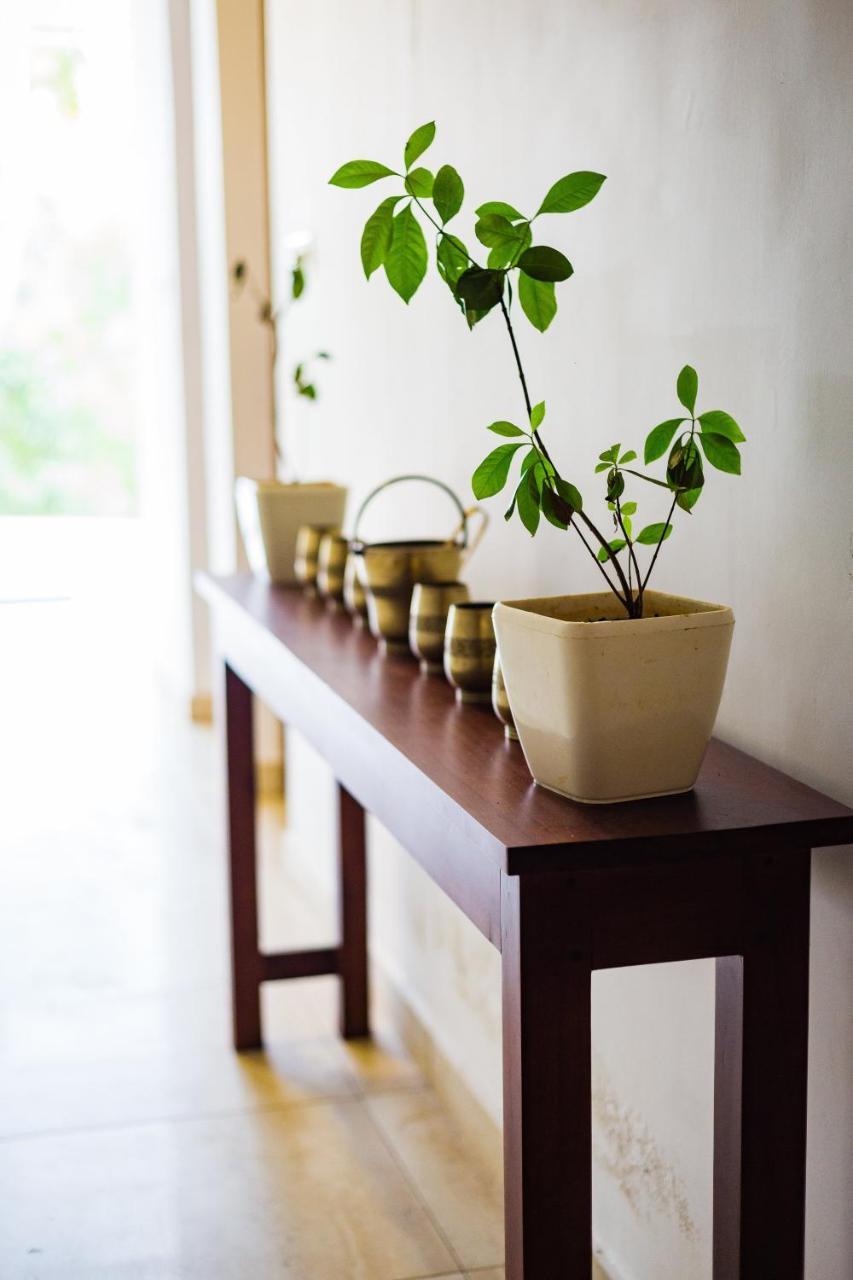Mekosha Ayurveda Spa Suites Retreat & Resort Attingal المظهر الخارجي الصورة
