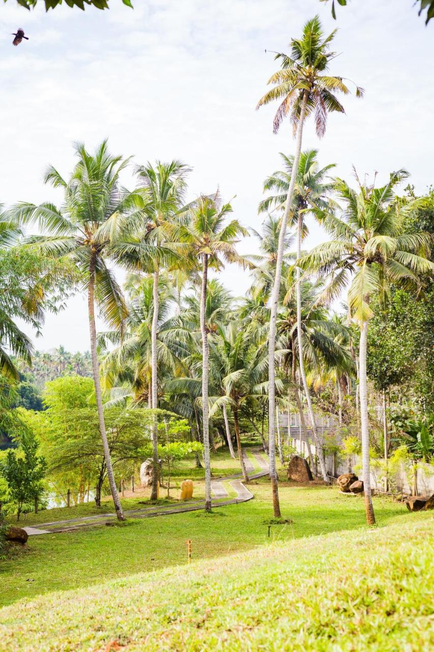 Mekosha Ayurveda Spa Suites Retreat & Resort Attingal المظهر الخارجي الصورة